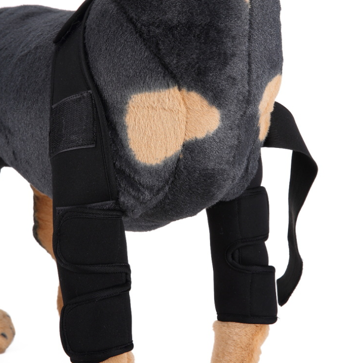 Dog Knee Brace for Injury Recovery | Leg Support & Protector
