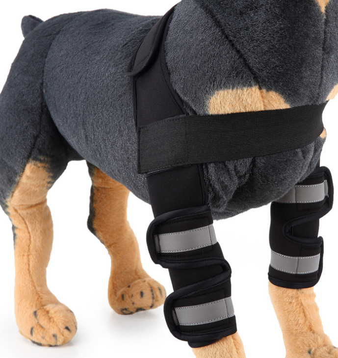 Dog Knee Brace for Injury Recovery | Leg Support & Protector