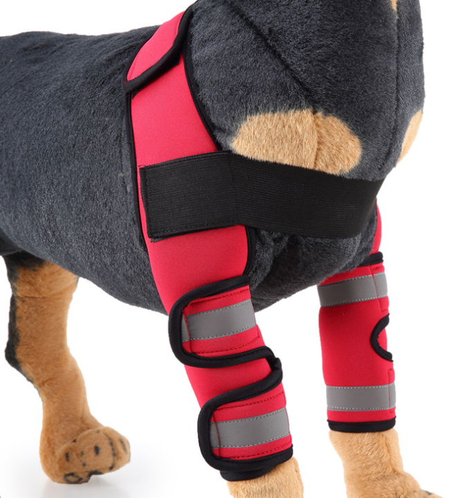 Dog Knee Brace for Injury Recovery | Leg Support & Protector