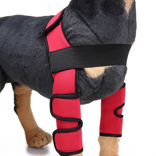 Dog Knee Brace for Injury Recovery | Leg Support & Protector