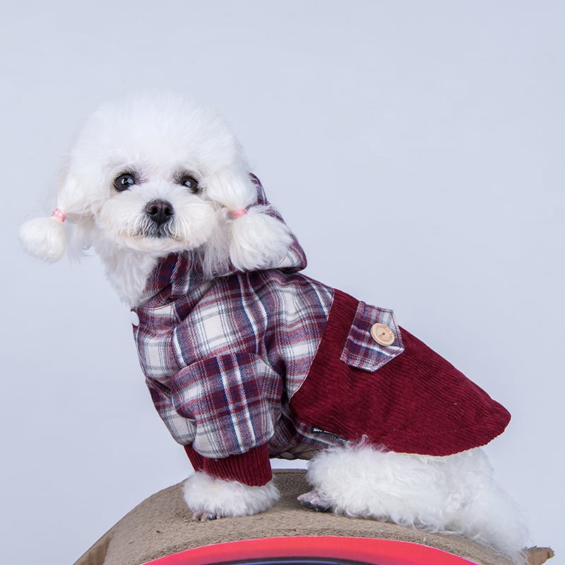 Pomeranian Dog Coat – Soft Cashmere Winter Sweater for Small Dogs