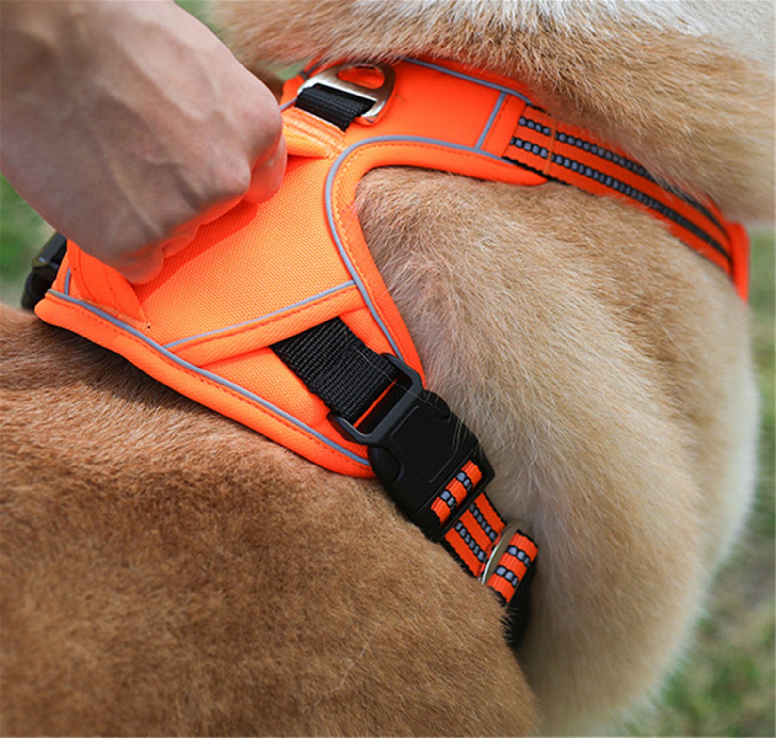 Waterproof Dog Harness with Handle – No-Pull, Durable Pet Vest