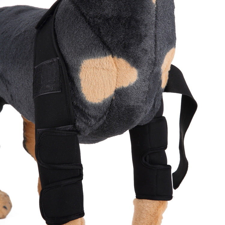 Dog Knee Brace for Injury Recovery | Leg Support & Protector