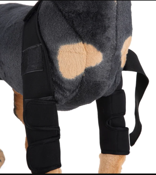 Dog Knee Brace for Injury Recovery | Leg Support & Protector