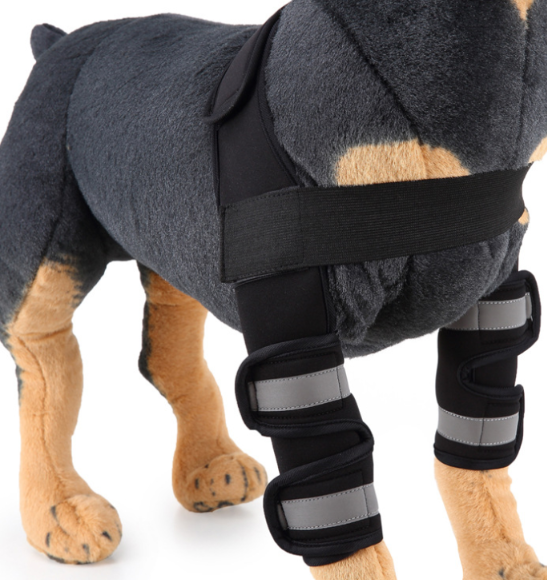 Dog Knee Brace for Injury Recovery | Leg Support & Protector